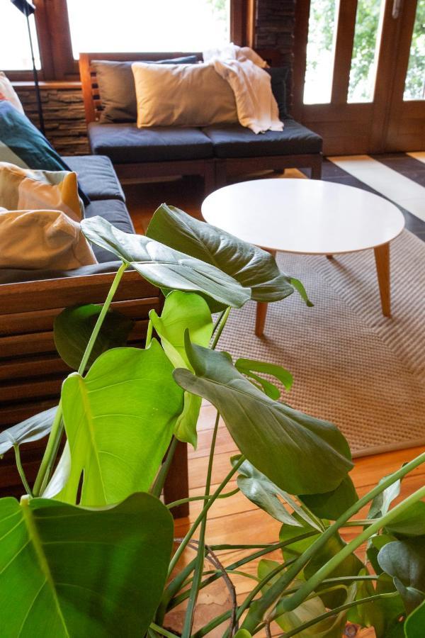 River House Vasa เบลเกรด ภายนอก รูปภาพ